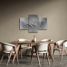 Obraz - Kvapka na kvete, čiernobiela (90x60 cm)