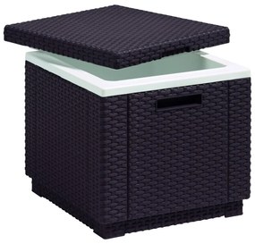 Záhradný stolík so zásobníkom na ľad 42x42 cm – Keter