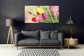 Obraz na akrylátovom skle Tulipány kvety rastlina 120x60 cm