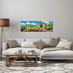 Obraz - Slony, Sri Lanka (s hodinami) (90x30 cm)
