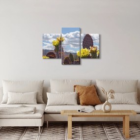 Obraz opuncie (90x60 cm)