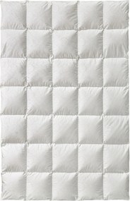 XXXLutz CELOROČNÁ PRIKRÝVKA, 135-140/200 cm, páperie Billerbeck - Prikrývky & vankúše - 003279017801