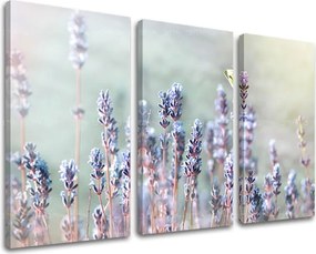 Obraz na stenu 3 dielny KVETY KV077E30 - 120x80 cm
