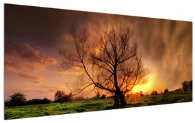 Obraz stromu v krajine (120x50 cm)