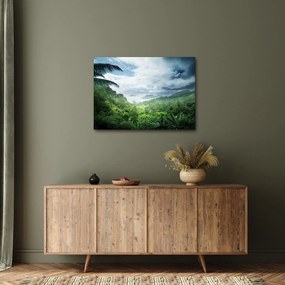 Obraz - Seychelská jungle (70x50 cm)