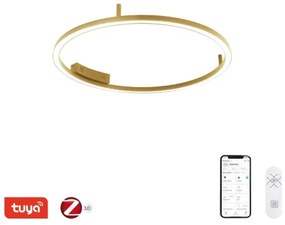 Immax NEO 07291-80G - LED+CCT stmievateľné stropné svietidlo FINO 55W/230V Tuya priemer 80 cm s diaľkovým ovládaním