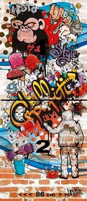 Fototapeta na dvere GRAFFITI 86x200 cm