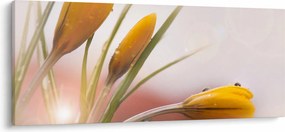 Obraz - Jarné kvety (120x50 cm)