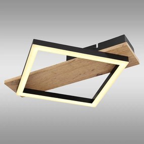 Stropné svietidlo Beatrix 67294D LED LS1