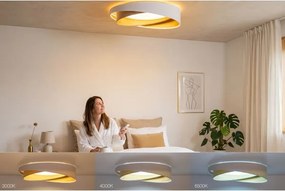 LED stmievateľné stropné svietidlo SM. GALAXY M. 24W/230V pr. 55 cm biela/béžová/zlatá + DO