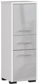 Kúpeľňová skrinka FIN 30 2D 1SZ 85 cm metalická, lesk