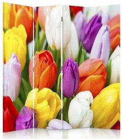 Gario Paraván Farebné tulipány Rozmery: 145 x 170 cm, Prevedenie: Otočný paraván 360°