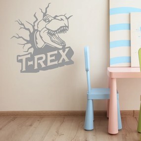 Veselá Stena Samolepka Dinosaurus T-REX Farba: šedá, Veľkosť: 40 x 43 cm