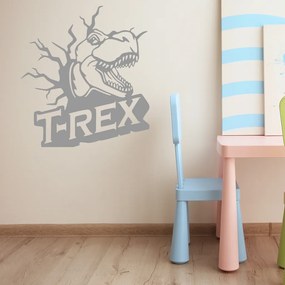 Veselá Stena Samolepka na stenu na stenu Dinosaurus T-REX Farba: čierna