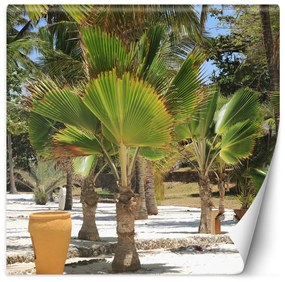 Fototapeta, Palmy na tropické pláži - 150x150 cm