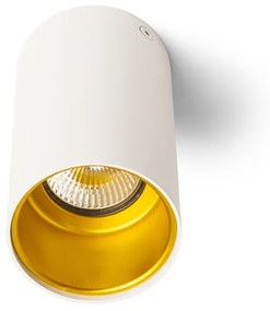 RENDL R12745 TUBA prisadené svietidlo, downlight matná biela/zlatá