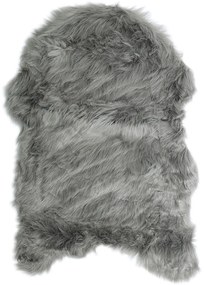 Koberce Breno Kusový koberec CLAIRE NEW sivý, sivá,60 x 90 cm