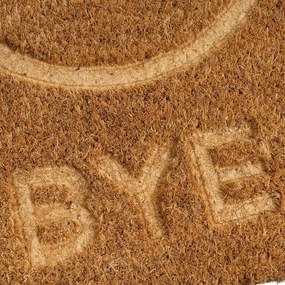 Rohožka z kokosového vlákna 40x60 cm Salute – Casa Selección