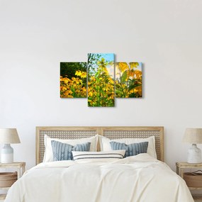 Obraz žltých kvetov (90x60 cm)