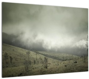 Sklenený obraz krajiny pred búrku (70x50 cm)