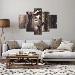 Obraz - Jeleň v lese (150x105 cm)