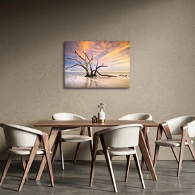 Obraz stromu v oceáne (70x50 cm)