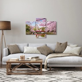 Obraz japonskej čerešne (90x60 cm)