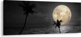 Obraz - Pláž za splnu v šedých tónoch (120x50 cm)