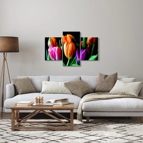 Obraz tulipánov na čiernom pozadí (90x60 cm)