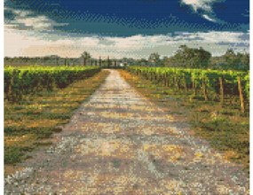 Gario Diamantové maľovanie Toskánske vinice Rozmery: 80 x 100 cm, Rámovanie: Iba zrolované plátno, Diamanty: Štvorcové