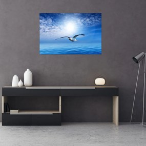 Obraz - Čajka nad morom (90x60 cm)
