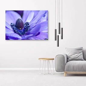 Obraz na plátně Příroda Květina Fialová - 100x70 cm