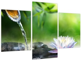 Obraz - Lotus (90x60 cm)