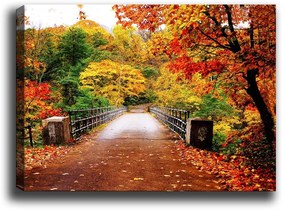 Obraz Tablo Center Autumn Bridge, 70 × 50 cm