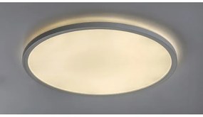 Rabalux 3428 - LED Stmievateľné stropné svietidlo PAVEL LED/22W/230V