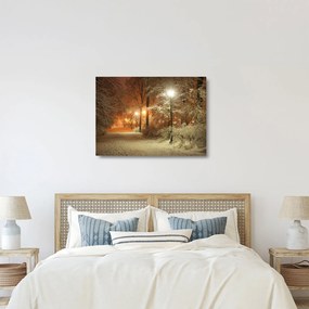 Sklenený obraz - Zasnežený park (70x50 cm)