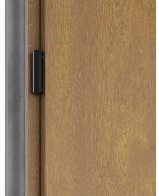 Kovové vchodové dvere P68 Artemida 90 P dub zlatý