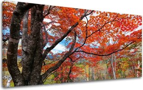 Obraz na stenu PANORÁMA STROMY ST012E13