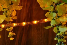 Nexos 575 LED svetelný kábel 20 m - žltá, 480 diód