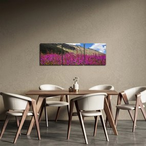 Obraz scenérie horské lúky (s hodinami) (90x30 cm)