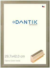 DANTIK rám na obraz 29,7x42 | OPERA Colori šedá (Plexi Čiré)