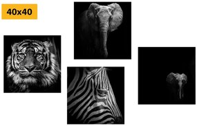 Set obrazov zvieratá v čiernobielom štýle