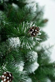 Limpol Vianočný stromček Borovica Verona biela Výška stromčeka: 180 cm