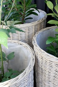 Chic Antique Prútený obal na kvetináč na kolieskach French L