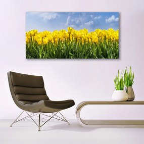 Obraz plexi Tulipány kvety rastlina 120x60 cm