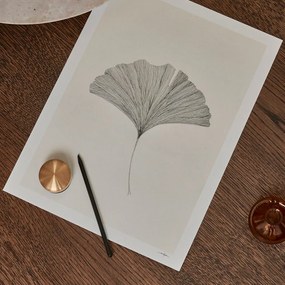 The Poster Club Plagát Ginkgo Leaf by Ana Frois A4 (21x27cm)