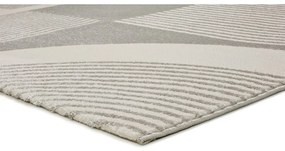 Koberec vo svetlosivej a slonovinovej farbe 200x290 cm Flora – Universal