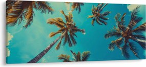 Obraz - Vysoké palmy (120x50 cm)
