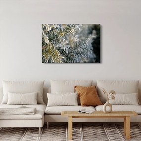 Obraz - Detail vetvy (90x60 cm)