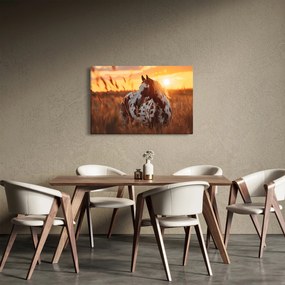 Obraz - Kôň pri západe slnka (90x60 cm)